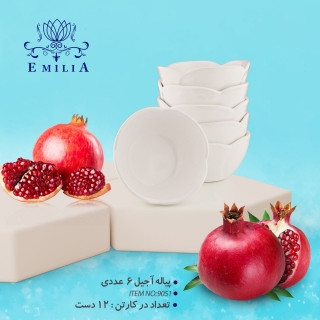 piale-ajil